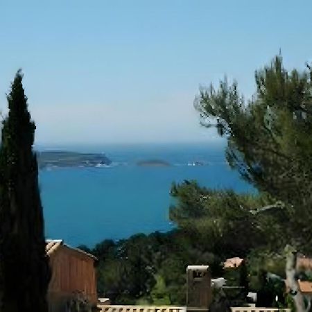 Beau T3 Au Mont Des Oiseaux Apartment Hyères Exterior foto